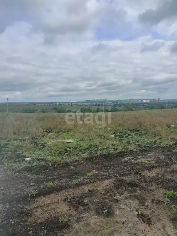 Купить Дом В Новогремяченском Хохольского Района Воронежской