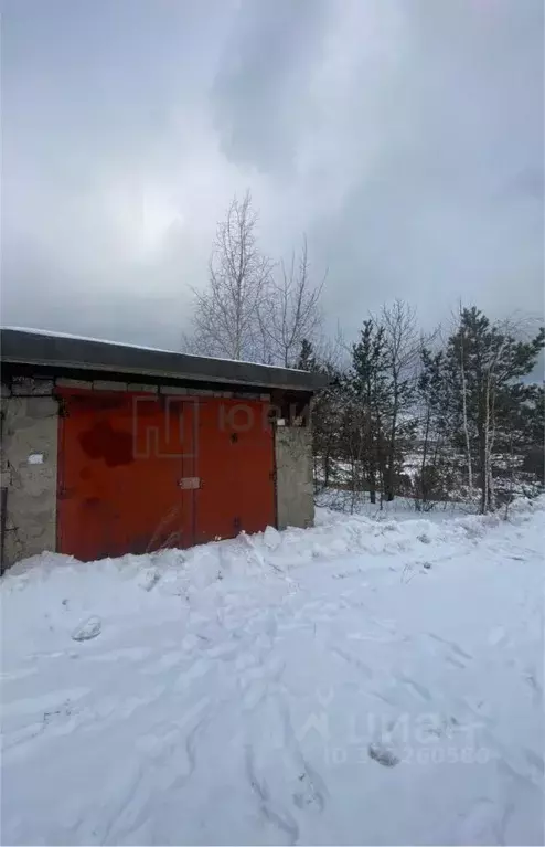 Гараж в Свердловская область, Нижний Тагил Алтайская ул., 192 (29 м) - Фото 1