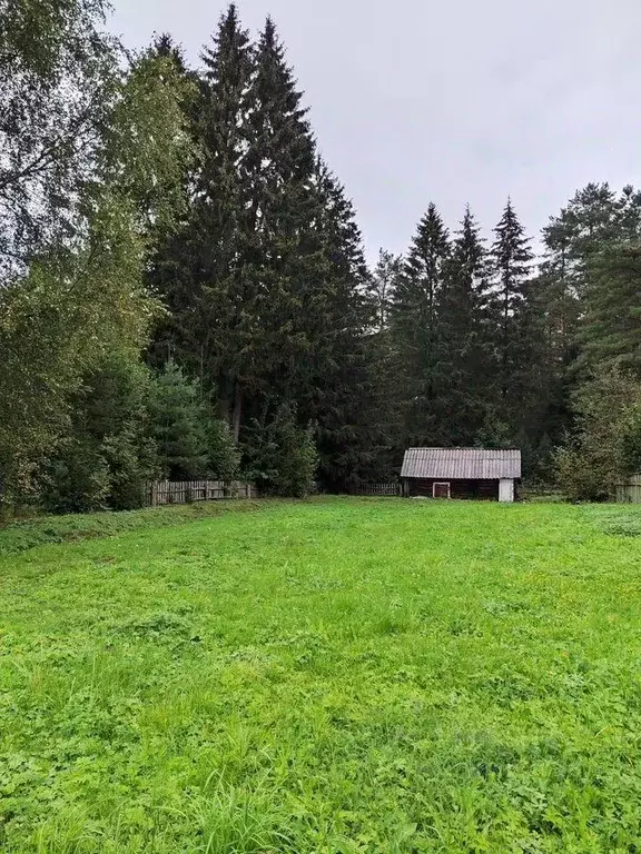 Участок, 15 сот., поселения (ижс) - Фото 1