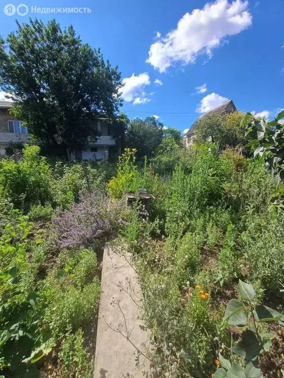 Дом в Добровское сельское поселение, село Андрусово (80 м) - Фото 1