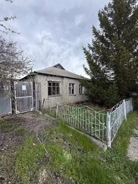 Участок в Белгородская область, Алексеевка Молодежная ул. (6.0 сот.) - Фото 2