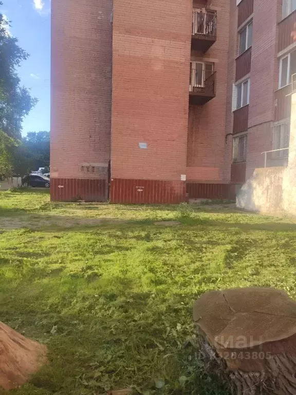Комната Воронежская область, Воронеж ул. Хользунова, 64 (13.1 м) - Фото 2