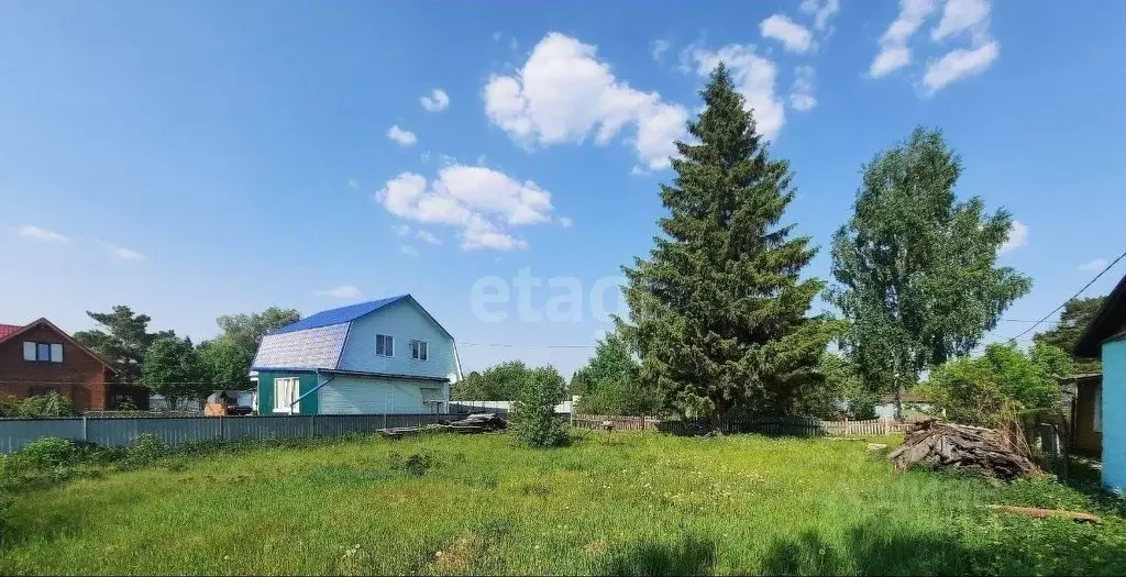 Участок в Новосибирская область, Колыванский район, Ветеран СНТ  (4.0 ... - Фото 0