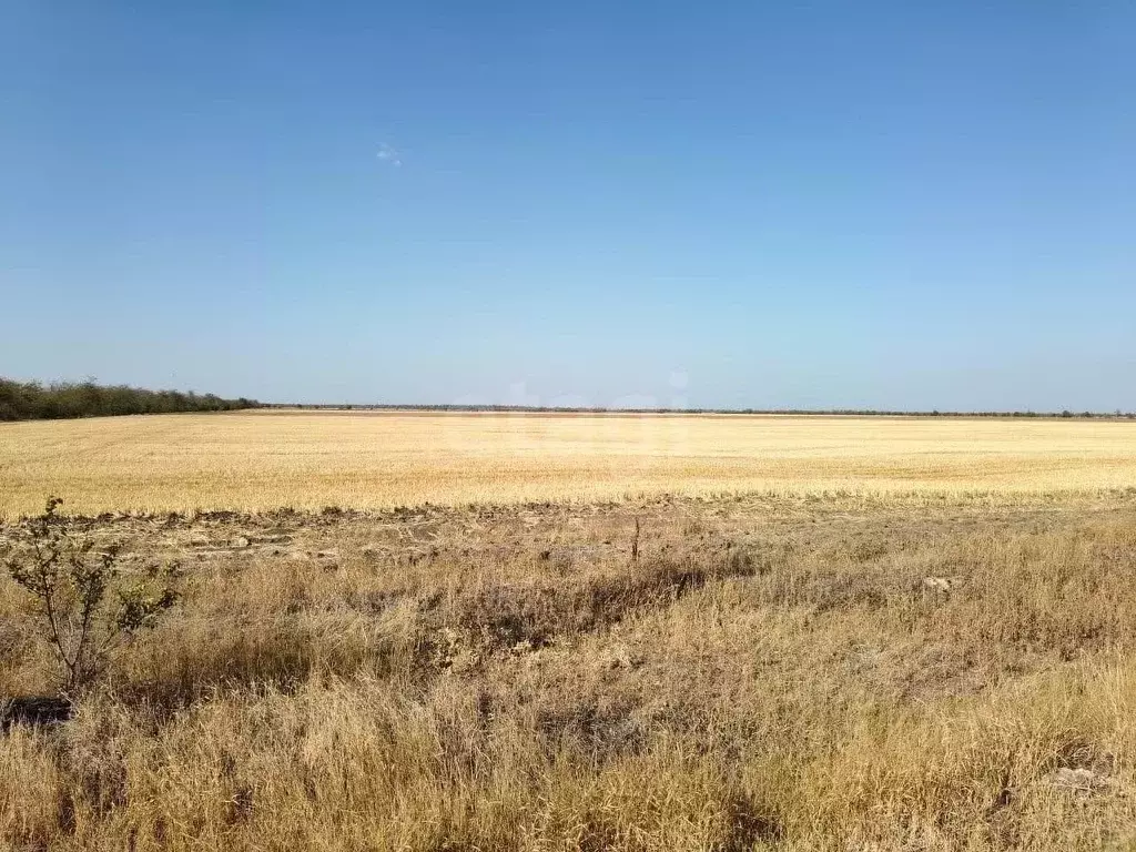 Участок в Крым, Советский район, Ильичевское с/пос, с. Восточное ул. ... - Фото 1