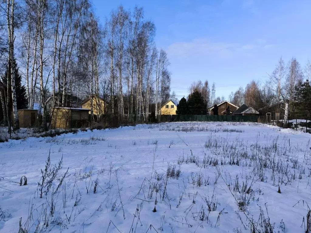 Участок в Московская область, Раменский муниципальный округ, с. Речицы ... - Фото 1