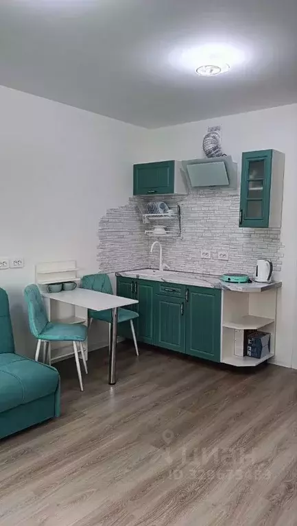 Студия Санкт-Петербург ул. Пахомовская, 14к1 (24.5 м) - Фото 1