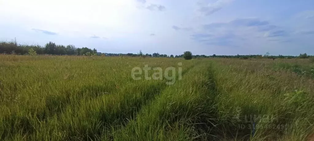 Участок в Владимирская область, Муром с. Борисоглеб,  (15.1 сот.) - Фото 1