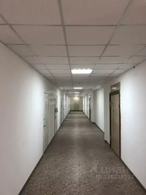 Офис в Красноярский край, Красноярск ул. Дубровинского, 112 (800 м) - Фото 2