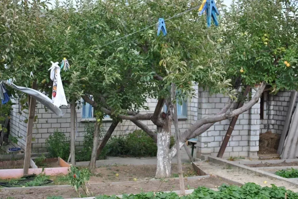 Дом в Волгоградская область, Волгоград Кабардинская ул. (20 м) - Фото 0