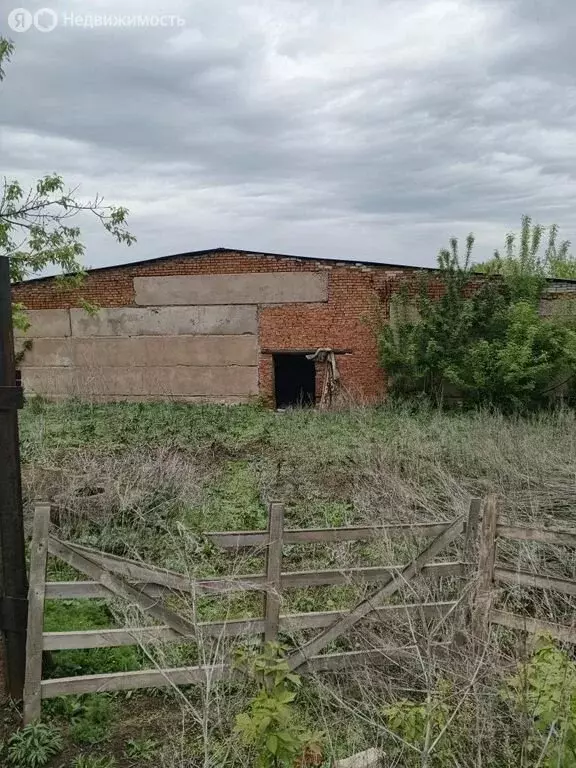 Помещение свободного назначения (1622 м) - Фото 2