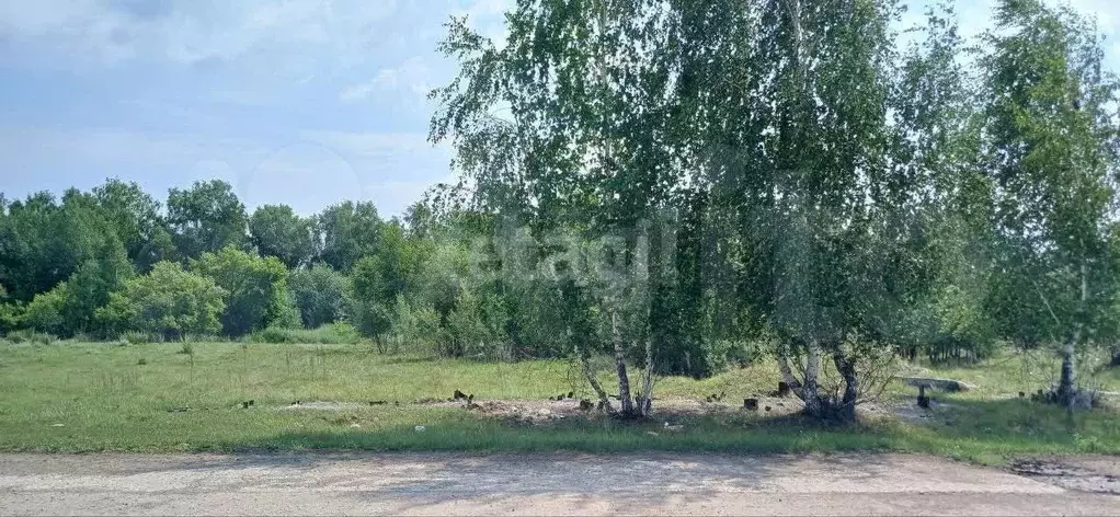 Участок 12 сот. (СНТ, ДНП) - Фото 1