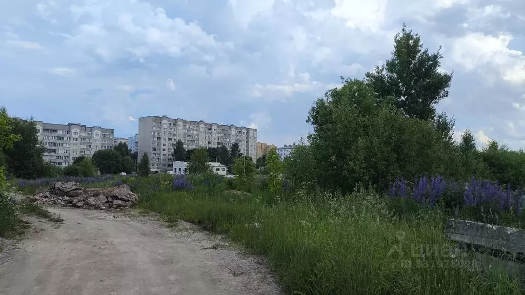 Участок в Владимирская область, Кольчугино ул. Светлая, 2 (13.5 сот.) - Фото 1