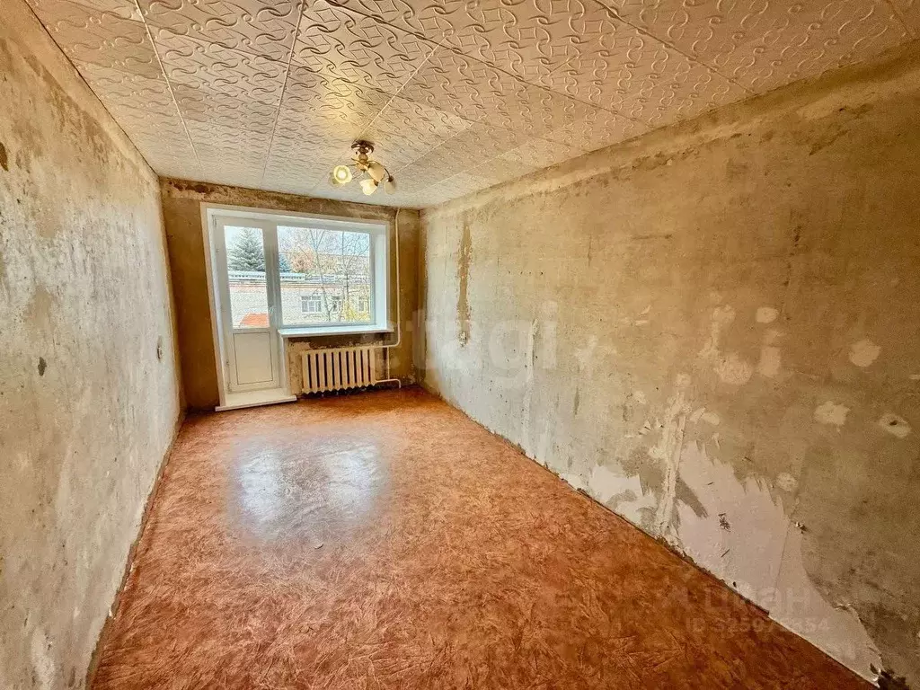 1-к кв. Владимирская область, Петушки ул. Строителей, 8 (29.5 м) - Фото 1