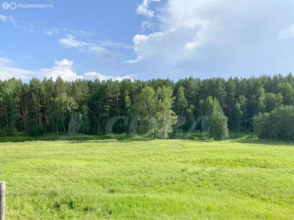 Участок в Усть-Ницинское сельское поселение (10 м) - Фото 0