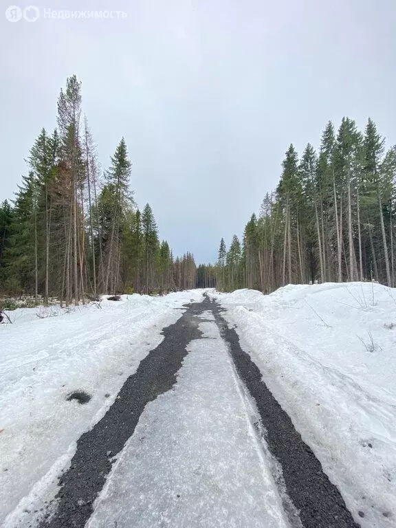 Участок в Ревда, Тополиная улица (10 м) - Фото 1