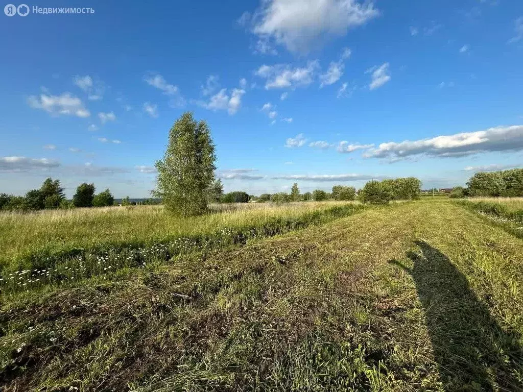 Участок в Тульская область, городской округ Алексин, село Сотино (550 ... - Фото 1