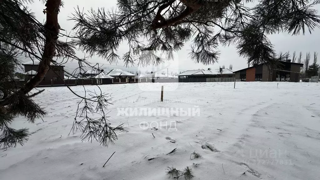 Участок в Саратовская область, Энгельсский район, Красноярское ... - Фото 2