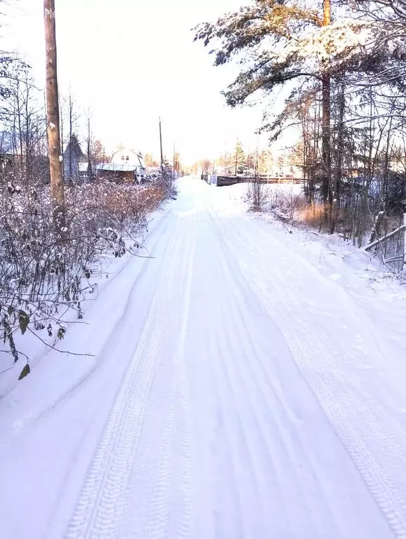 Участок в Архангельск, садовое товарищество Ваганиха (10 м) - Фото 0