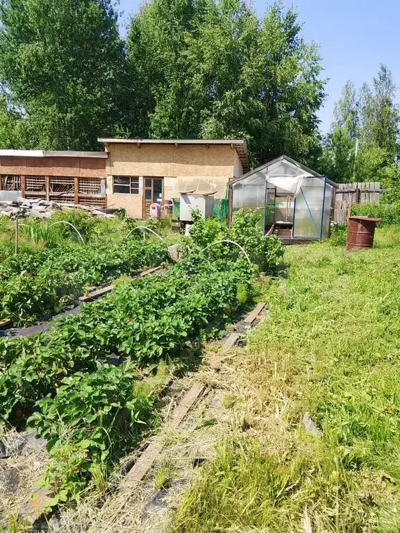 Участок 11 сот. (СНТ, ДНП) - Фото 1