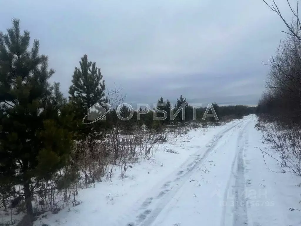 Участок в Тюменская область, Тюменский район, с. Горьковка Сибирская ... - Фото 0