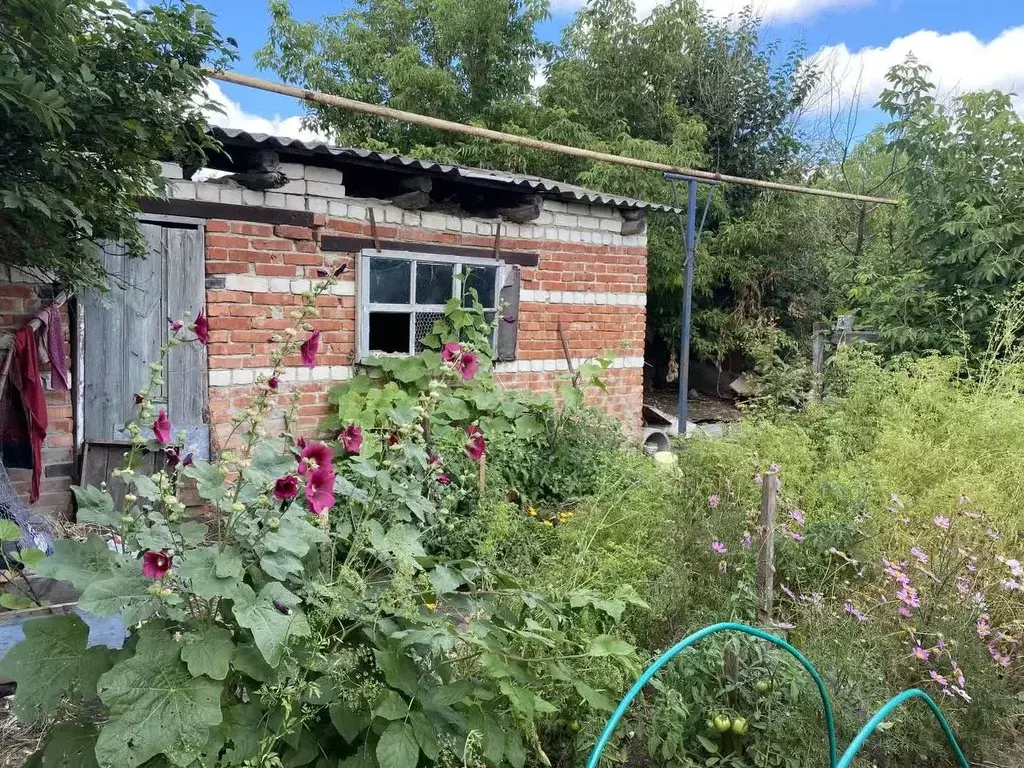 Дом в Саратовская область, Красноармейск 1 Мая ул. (78 м) - Фото 1