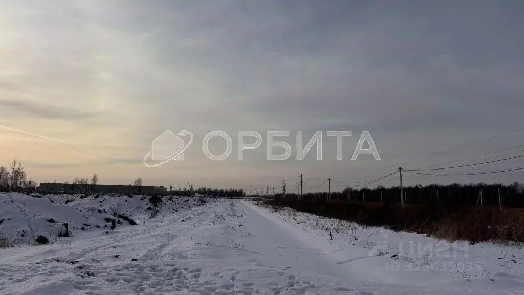 Участок в Тюменская область, Нижнетавдинский муниципальный округ, с. ... - Фото 1