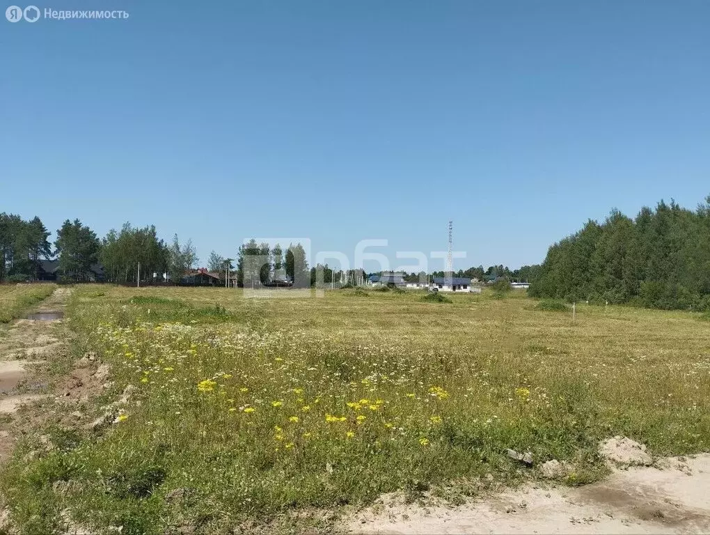 Участок в Ивановский район, Беляницкое сельское поселение, село ... - Фото 1