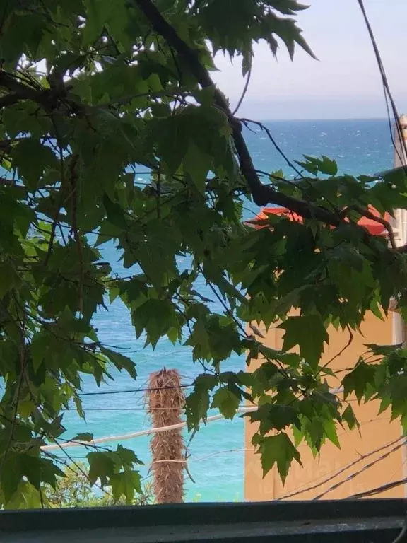 1-к кв. Крым, Ялта ул. Дражинского, 23 (25.0 м) - Фото 1