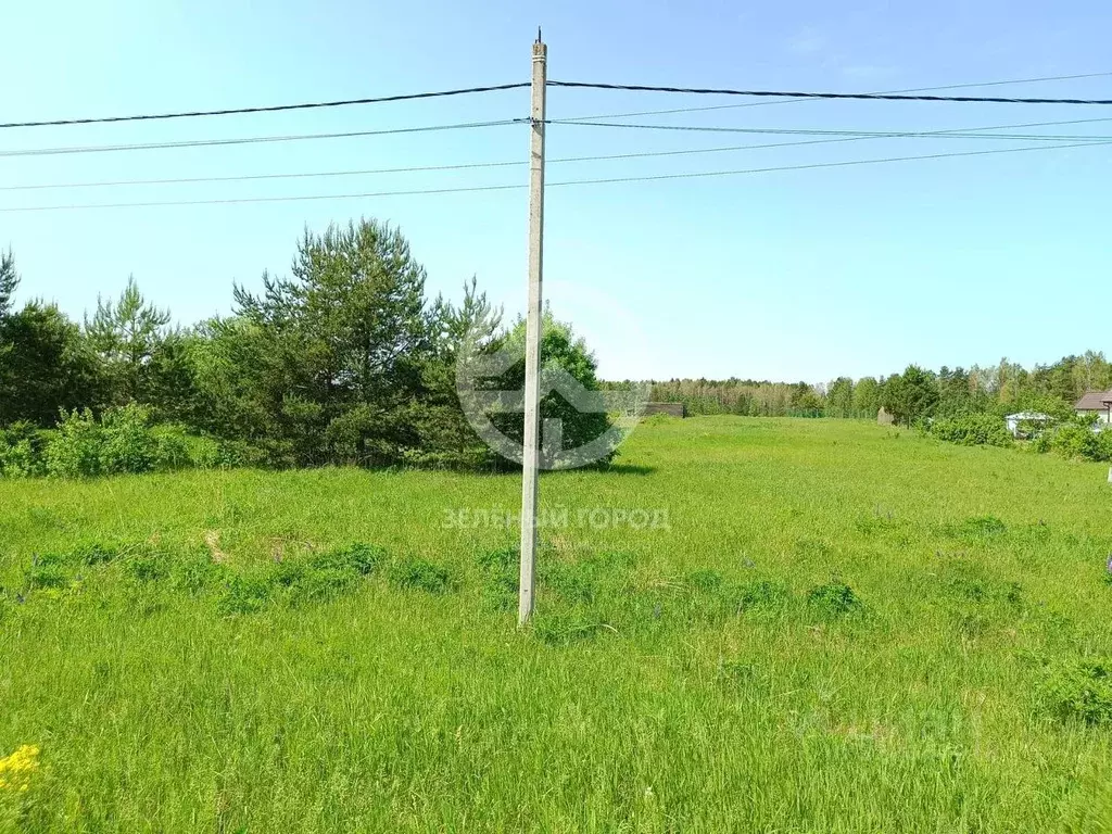 Участок в Московская область, Клин городской округ, д. Игумново  (19.0 ... - Фото 1