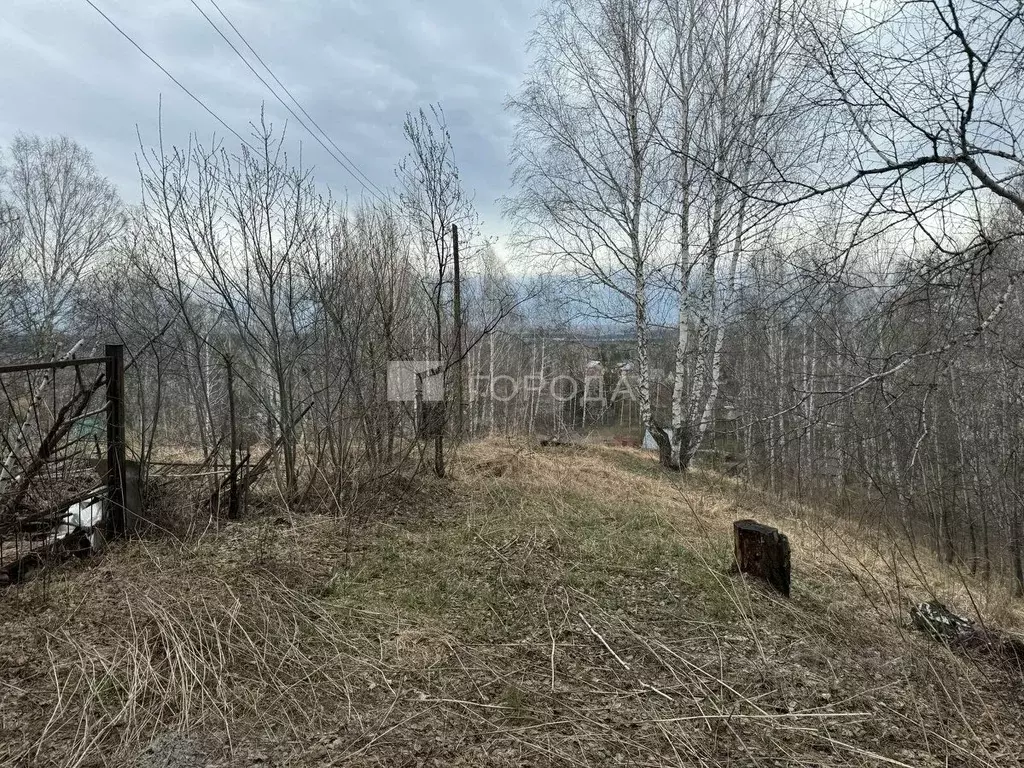 Участок в Новосибирская область, Новосибирский район, Новолуговской ... - Фото 1