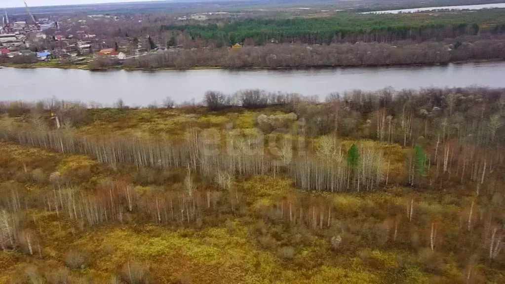 Участок, 15 сот., поселения (ижс) - Фото 1