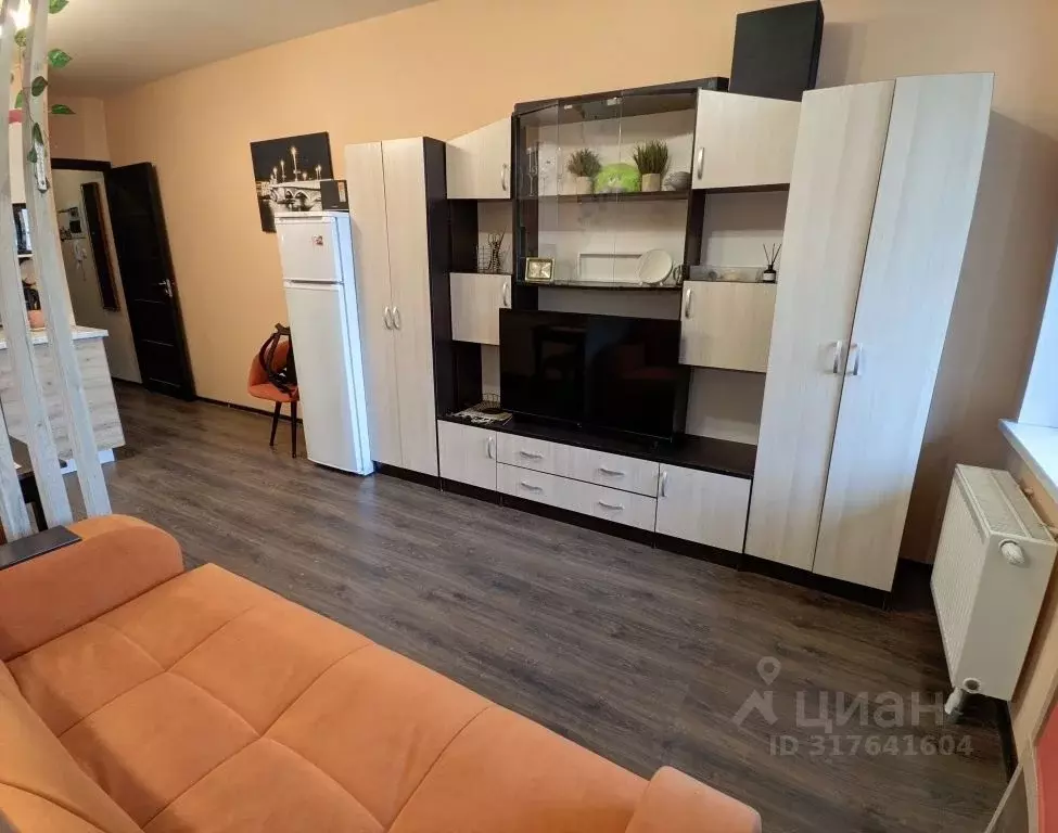 Студия Санкт-Петербург просп. Ветеранов, 171к4 (24.5 м) - Фото 1