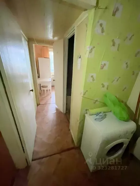 1-к кв. Ярославская область, Ярославль ул. Панина, 24 (30.0 м) - Фото 2