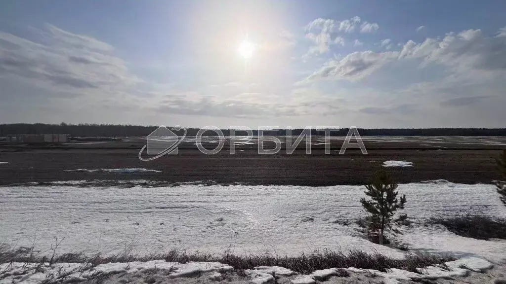 Участок в Тюменская область, Тюменский район, с. Кулига, Кулига-2 мкр  ... - Фото 0