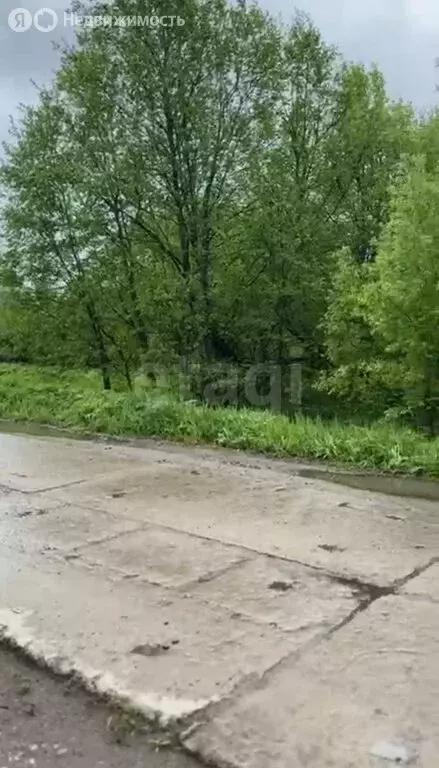 Участок в Архангельская область, Приморский муниципальный округ, СНТ ... - Фото 1