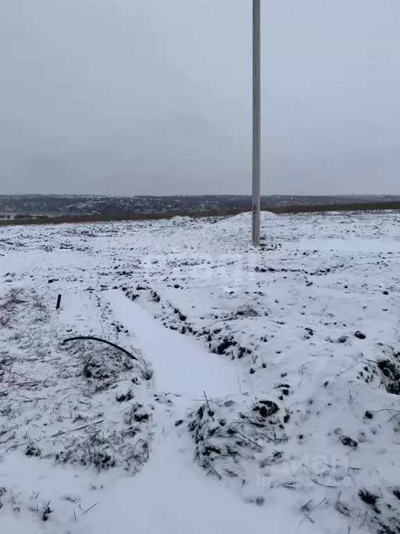 Участок в Белгородская область, Белгородский район, Головинское с/пос, ... - Фото 1