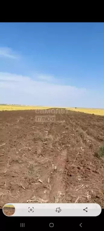 Участок в Крым, Черноморский район, Далековское с/пос, с. Владимировка ... - Фото 1