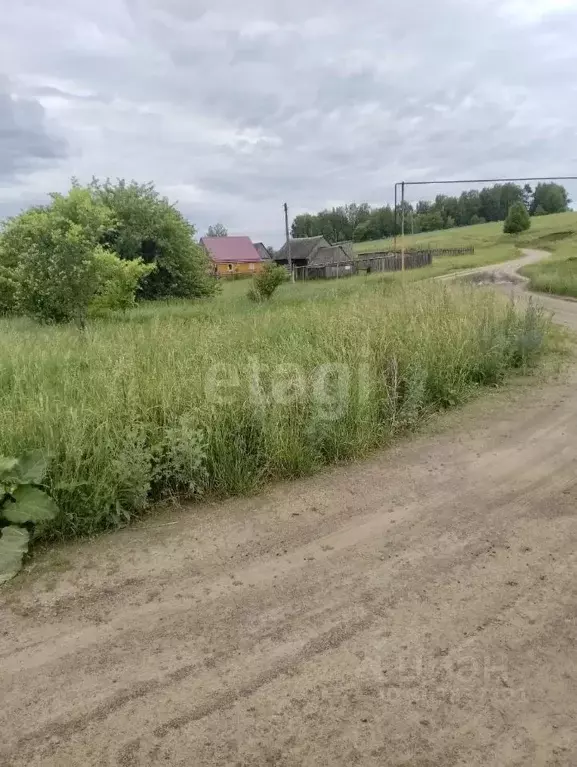 Участок в Пензенская область, Лунинский район, с. Большой Вьяс ул. ... - Фото 1