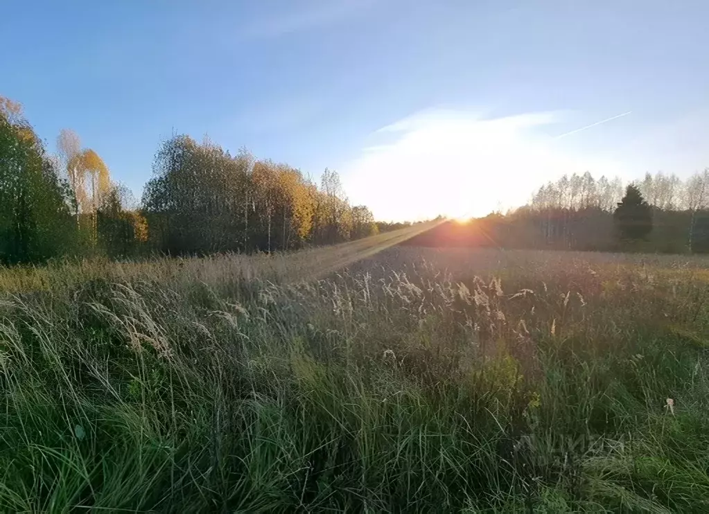 Участок в Московская область, Сергиево-Посадский городской округ, д. ... - Фото 1