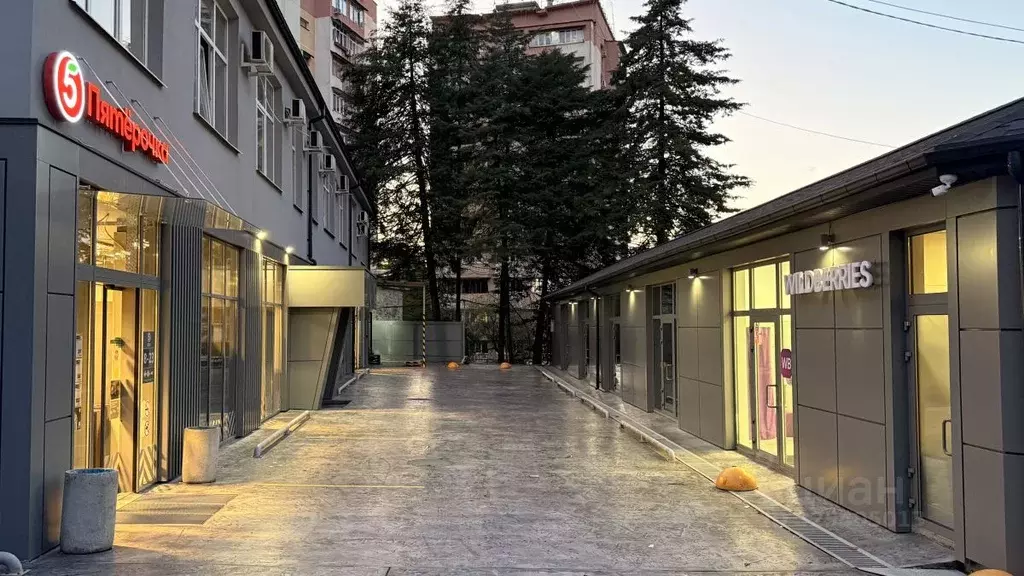 Помещение свободного назначения в Краснодарский край, Сочи Пластунская ... - Фото 1