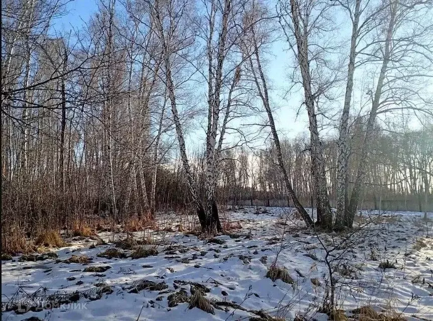 Участок в Омская область, Омский район, пос. Омский ул. Яблоневый сад ... - Фото 1