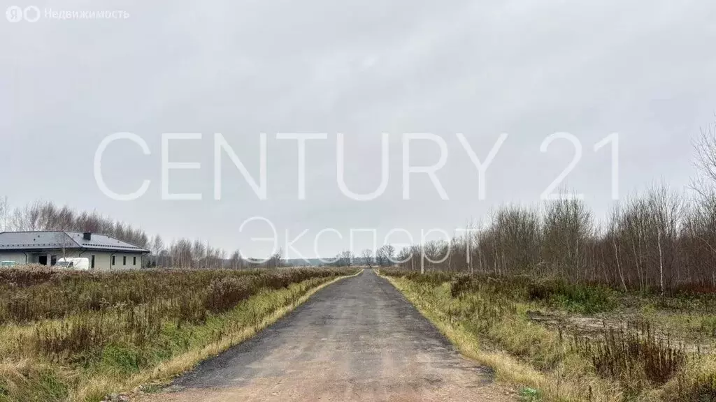 Участок в Калининградская область, Гурьевский муниципальный округ, ... - Фото 2