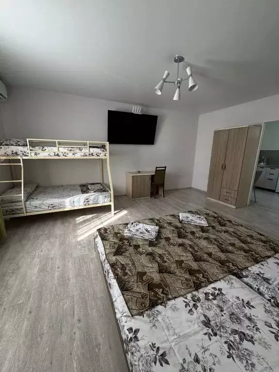 Студия Краснодарский край, Сочи ул. Ленина, 294Е (36.0 м) - Фото 2