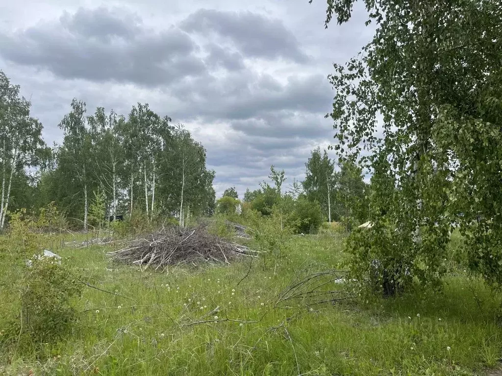 Участок в Воронежская область, с. Новая Усмань ул. Виноградная (13.5 ... - Фото 1