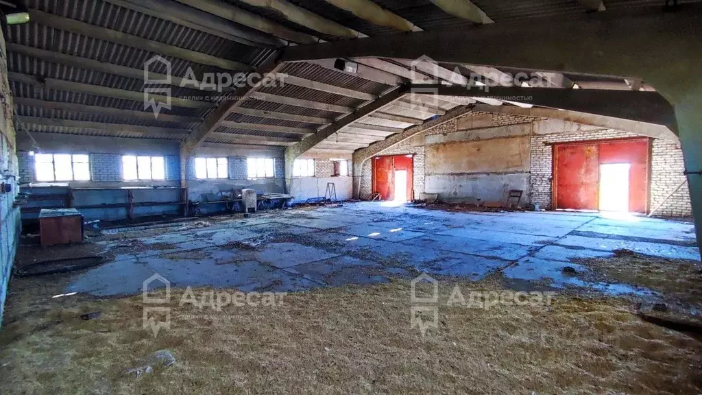 Помещение свободного назначения в Волгоградская область, Дубовский ... - Фото 1