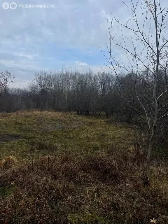 Участок в Владикавказ, посёлок городского типа Редант 2-й (4 м) - Фото 2