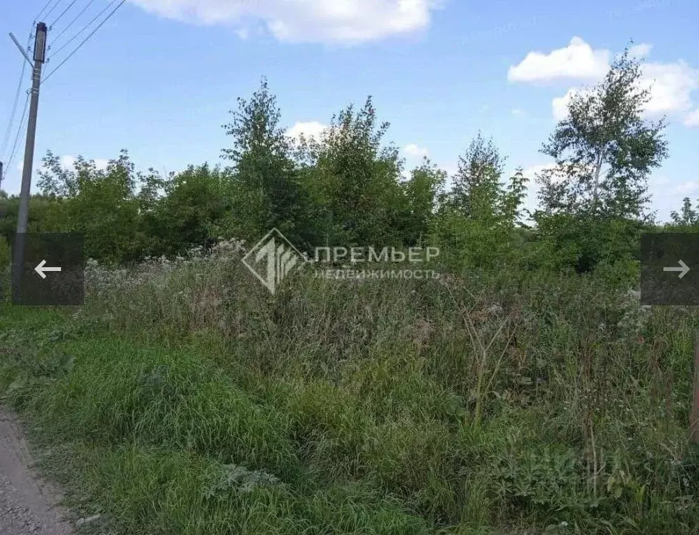 Участок в Кировская область, Кирово-Чепецкий район, Пасеговское с/пос, ... - Фото 2