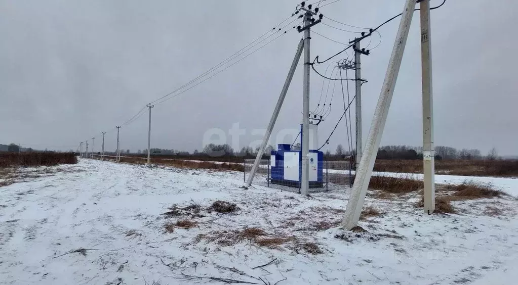 Участок в Тюменская область, Тюменский муниципальный округ, с. ... - Фото 1