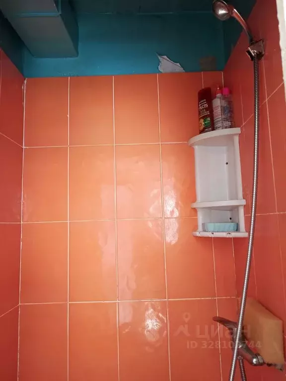 1-к кв. Нижегородская область, Бор ул. Чугунова, 12 (12.7 м) - Фото 2