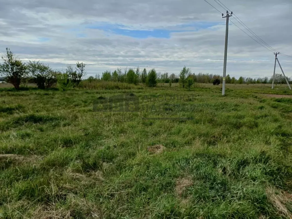 Участок в Новгородская область, Новгородский район, Ракомское с/пос, ... - Фото 0